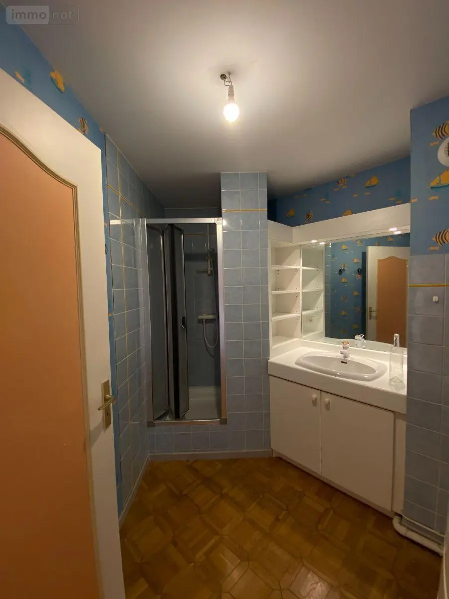 Appartement a vendre Vesoul 70000 Haute-Saône 70 115 m2 6 pièces 180000 euros 70003-259 011