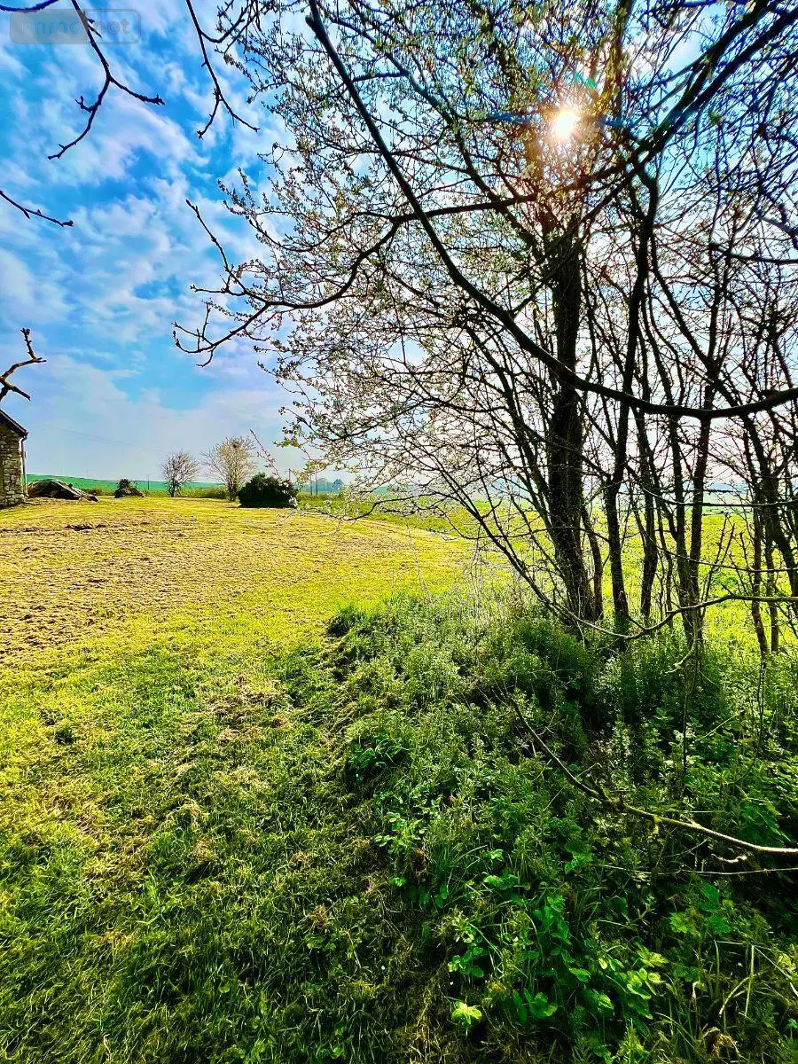 Maison a vendre Luçay-le-Mâle 36360 Indre 36 205 m2 8 pièces 290000 euros 016/452 006