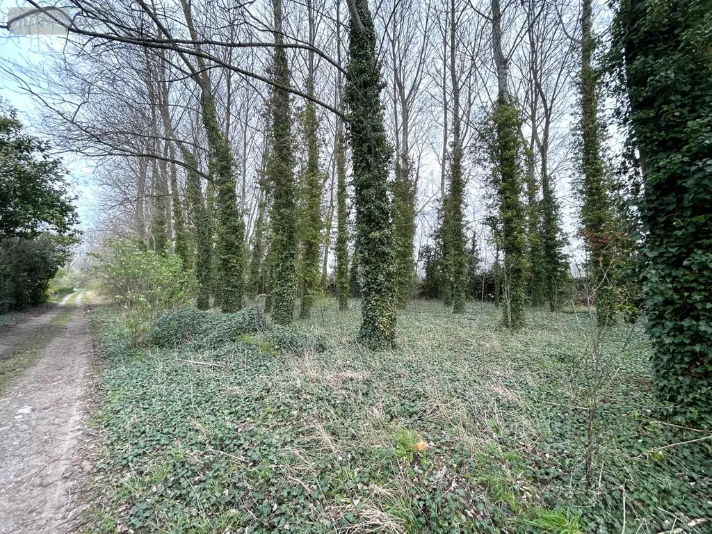Terrains de loisirs bois etangs a vendre Looberghe 59630 Nord 59 17500 euros H02216 002