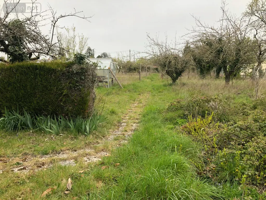Terrain a batir a vendre Châteauroux 36000 Indre 36 33000 euros 11813/1516 002
