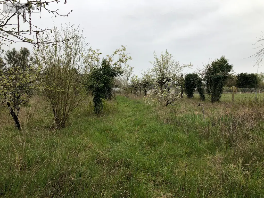 Terrain a batir a vendre Châteauroux 36000 Indre 36 33000 euros 11813/1516 005