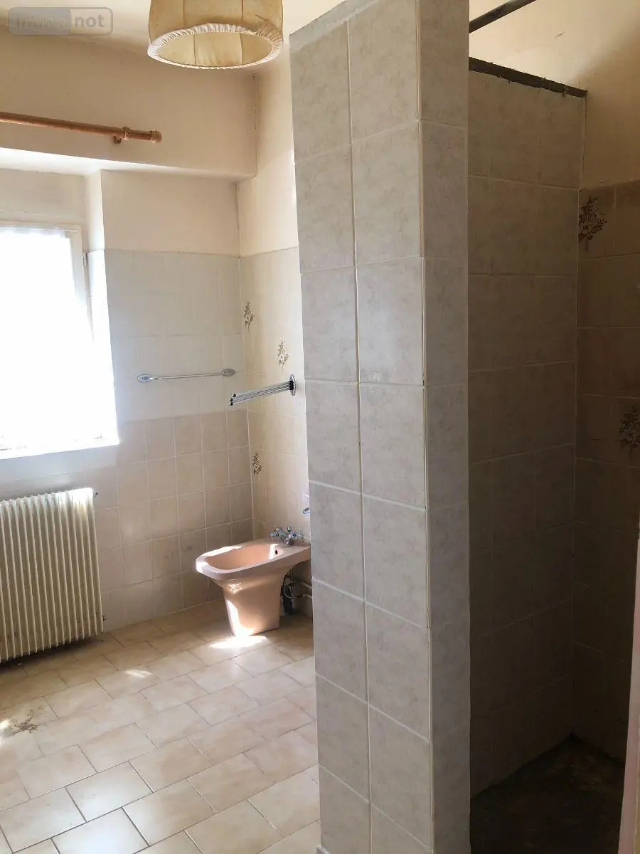 Maison a vendre Saint-Ambroix 18290 Cher 18 76 m2 3 pièces 58300 euros 11813/1517 008
