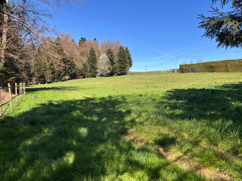Propriete a vendre Le Val-d'Ajol 88340 Vosges 88 153 m2 7 pièces 265000 euros 14815/202600223 004