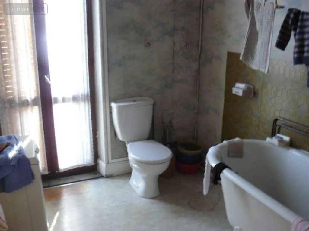 Immeuble de rapport a vendre Rambervillers 88700 Vosges 88 280 m2 10 pièces 64000 euros 2267-1 003