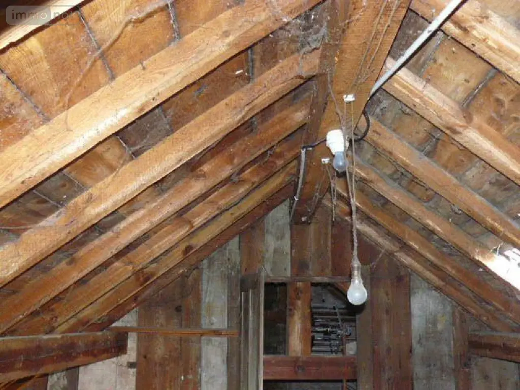 Immeuble de rapport a vendre Rambervillers 88700 Vosges 88 280 m2 10 pièces 64000 euros 2267-1 008