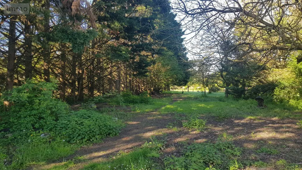 Maison a vendre Saint-Georges-sur-la-Prée 18100 Cher 18 114 m2 5 pièces 216070 euros 41036/3184 009