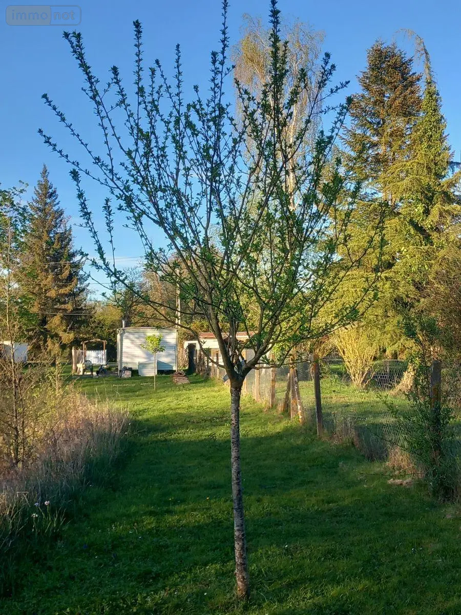Terrains de loisirs bois etangs a vendre Luzillé 37150 Indre-et-Loire 37 78100 euros 11893/504 006