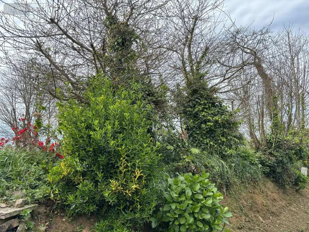 Terrain a batir a vendre Quéménéven 29180 Finistère 29 59200 euros TEBA/1072 011