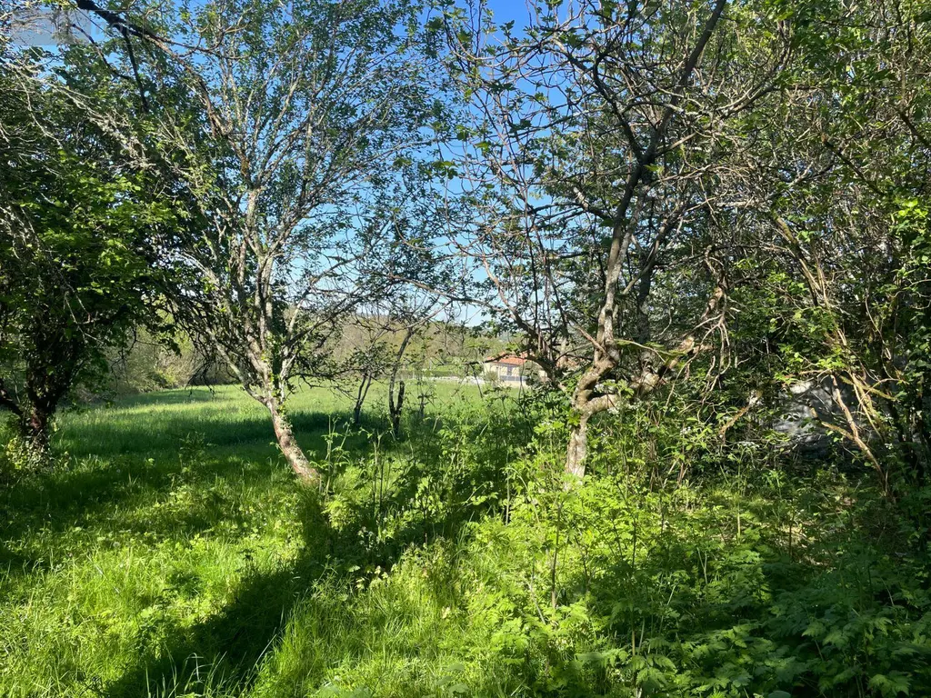 Maison a vendre Ribérac 24600 Dordogne 24 148 m2 3 pièces 144450 euros 077/1722 031