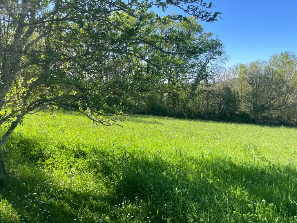 Maison a vendre Ribérac 24600 Dordogne 24 148 m2 3 pièces 144450 euros 077/1722 034