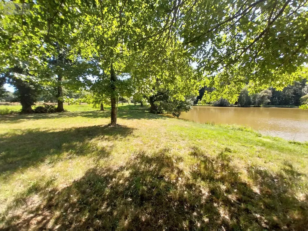 Terrains de loisirs bois etangs a vendre Drouges 35130 Ille-et-Vilaine 35 59800 euros 35131-248 002
