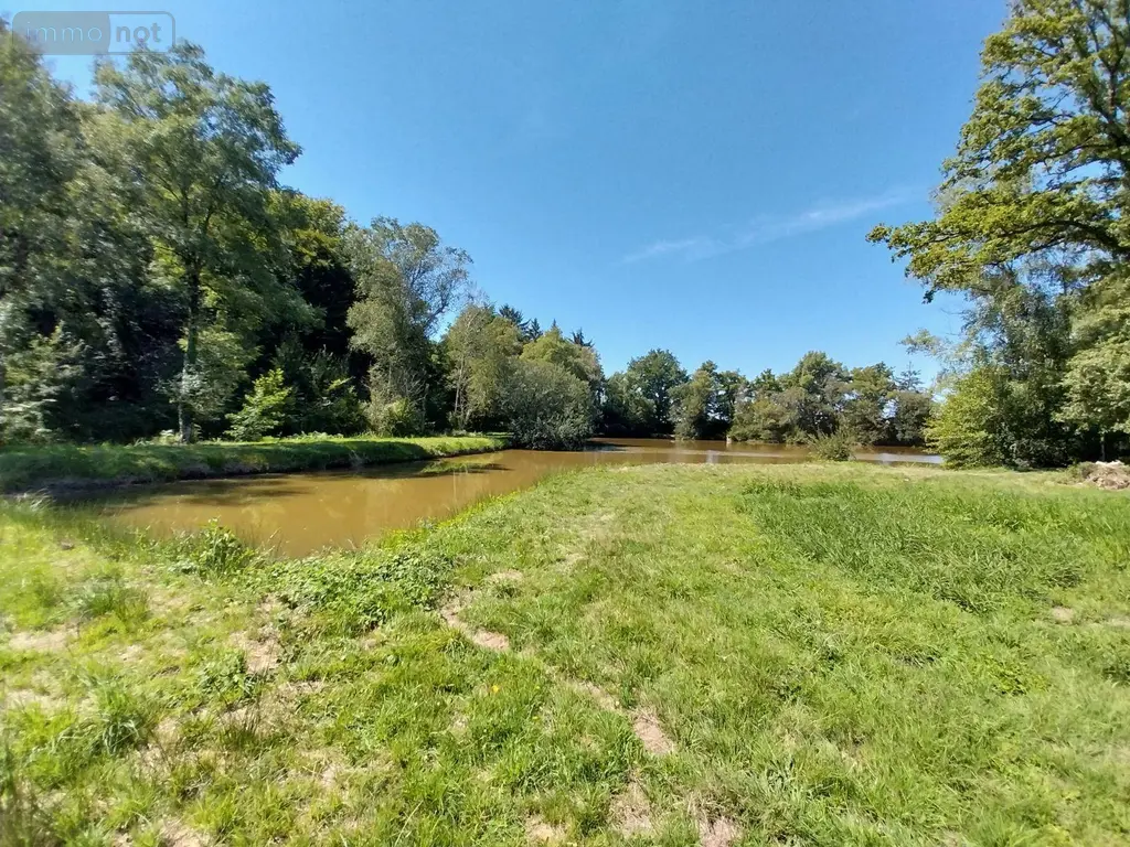 Terrains de loisirs bois etangs a vendre Drouges 35130 Ille-et-Vilaine 35 59800 euros 35131-248 006