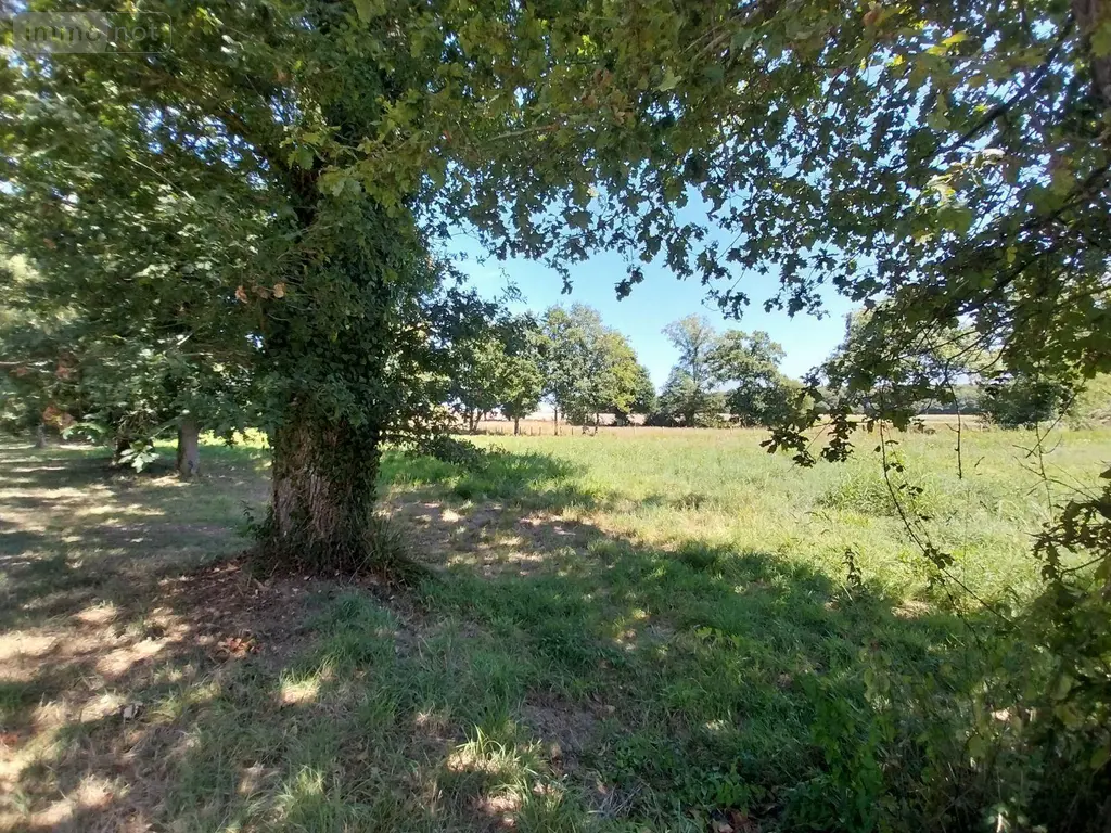 Terrains de loisirs bois etangs a vendre Drouges 35130 Ille-et-Vilaine 35 59800 euros 35131-248 015