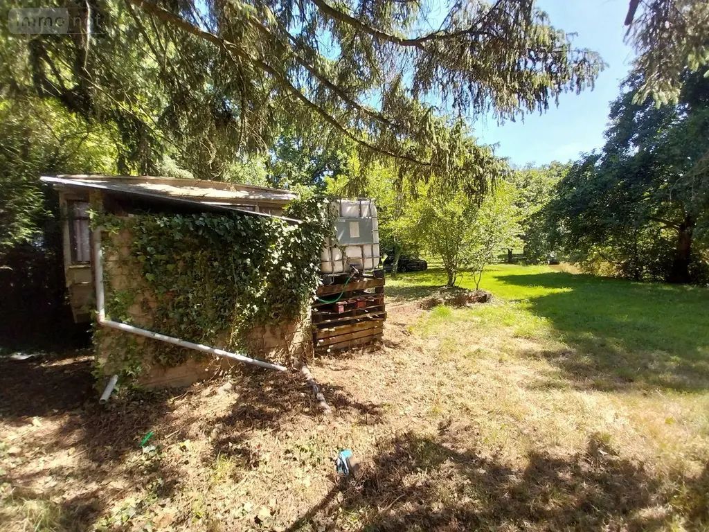 Terrains de loisirs bois etangs a vendre Drouges 35130 Ille-et-Vilaine 35 59800 euros 35131-248 016