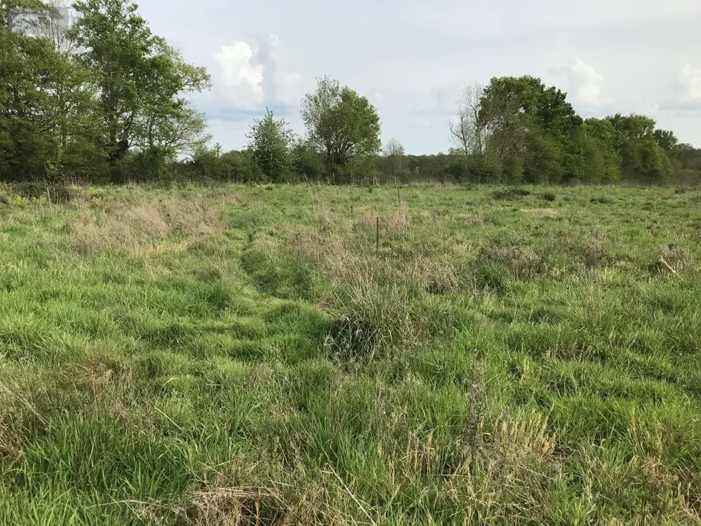 Bien agricole a vendre Courcemont 72110 Sarthe 72 37800 euros 079/2016 003