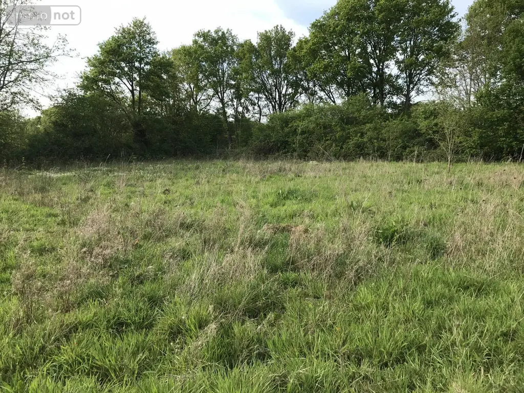 Bien agricole a vendre Courcemont 72110 Sarthe 72 37800 euros 079/2016 004