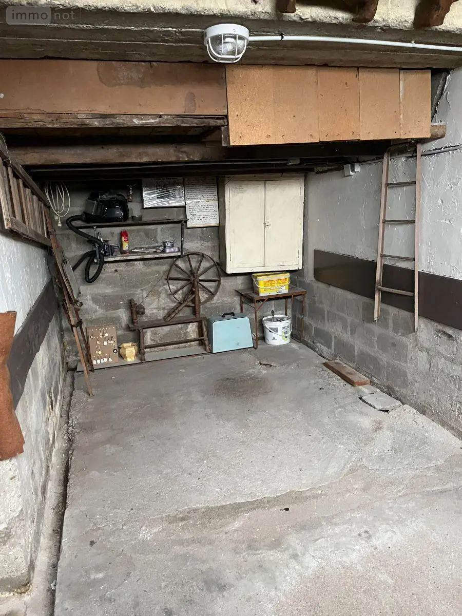 Maison a vendre Châtillon-sur-Indre 36700 Indre 36 119 m2 8 pièces 59500 euros 1050354 012
