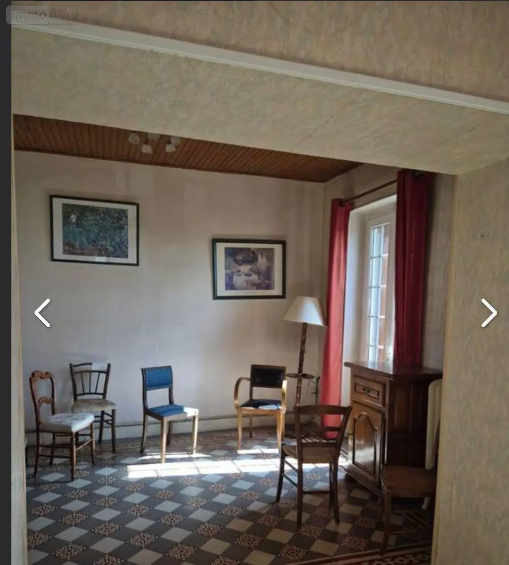 Maison a vendre Châtillon-sur-Indre 36700 Indre 36 119 m2 8 pièces 59500 euros 1050354 004
