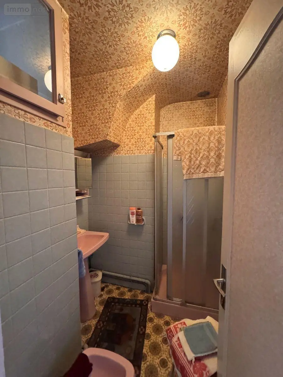 Maison a vendre Limoges 87000 Haute-Vienne 87 155 m2 7 pièces 198800 euros 87006/1286 019