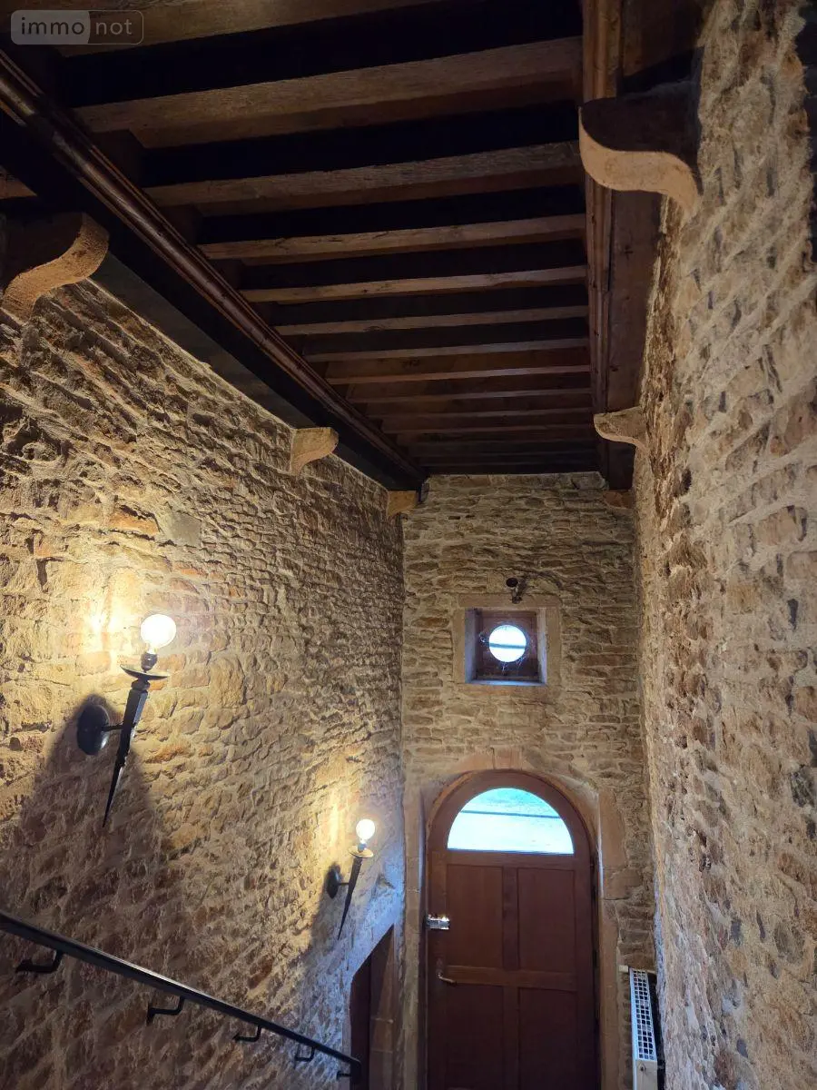 Propriete a vendre Chevagny-les-Chevrières 71960 Saône-et-Loire 71 307 m2 12 pièces 899600 euros 13779/988 004