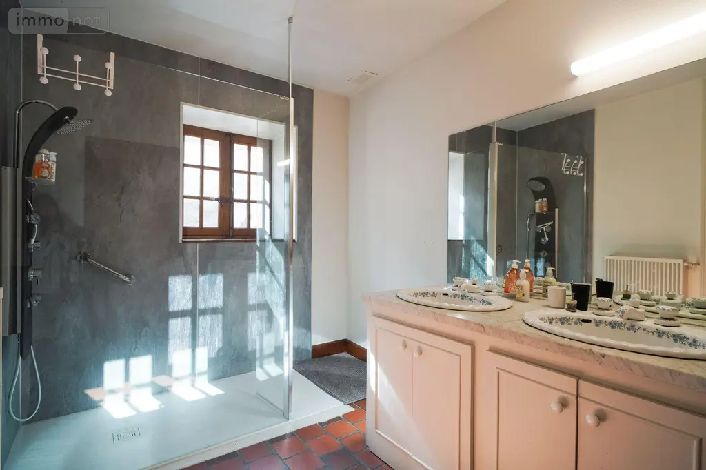 Propriete a vendre Chevagny-les-Chevrières 71960 Saône-et-Loire 71 307 m2 12 pièces 899600 euros 13779/988 010