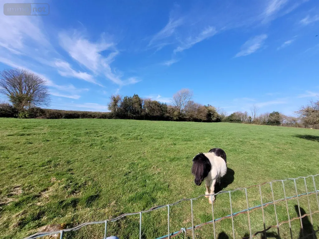 Maison a vendre Samer 62830 Pas-de-Calais 62 172 m2 7 pièces 365000 euros 069/653 019