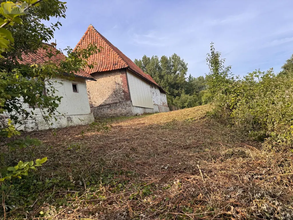 Terrains de loisirs bois etangs a vendre Beussent 62170 Pas-de-Calais 62 33900 euros 069/654 003