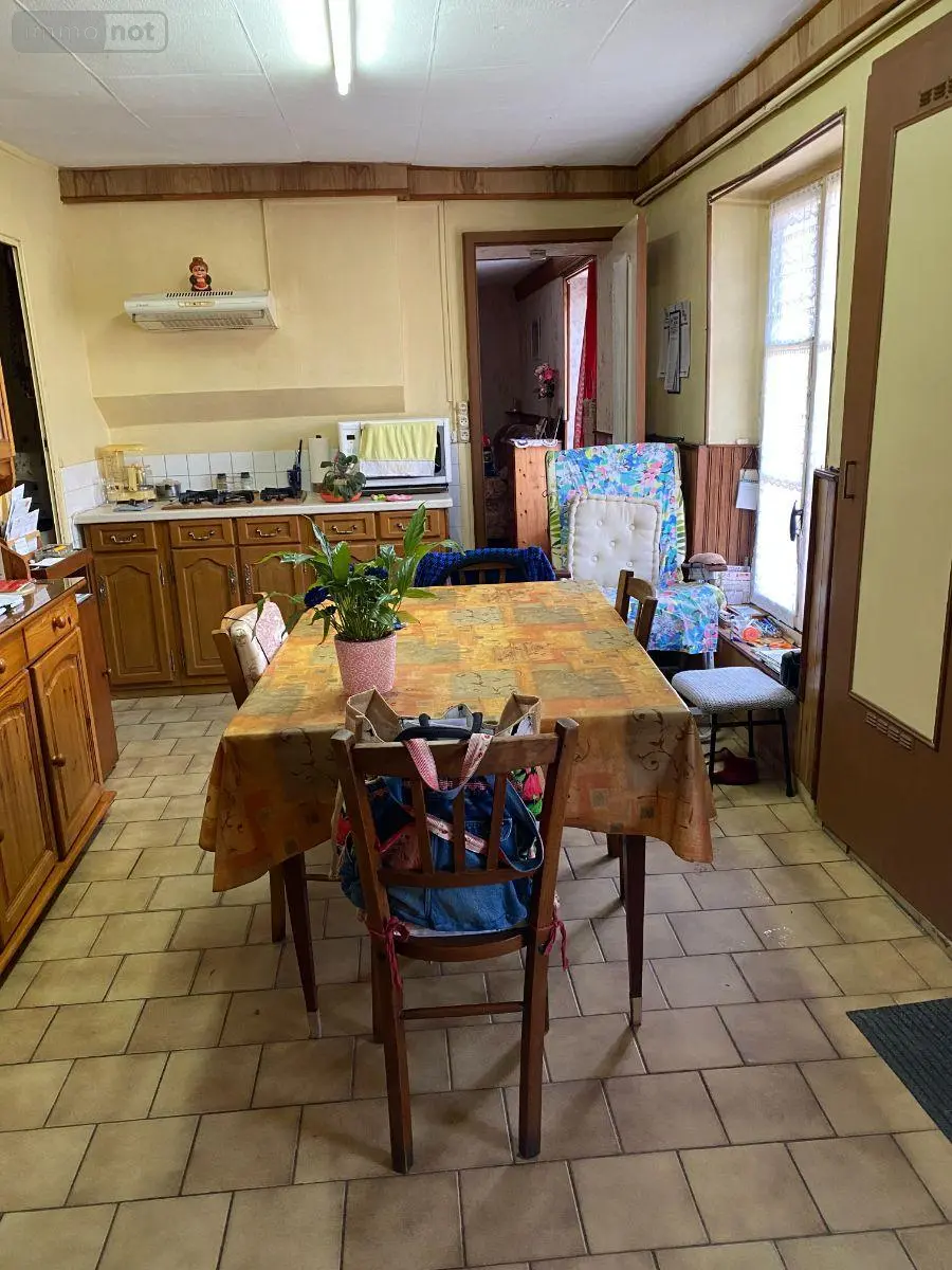 Maison a vendre Châtillon-sur-Indre 36700 Indre 36 145 m2 6 pièces 54200 euros 1052101 004