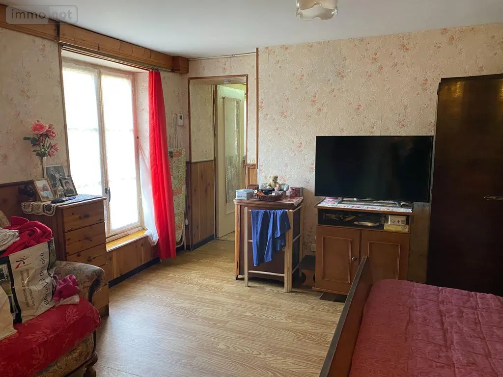 Maison a vendre Châtillon-sur-Indre 36700 Indre 36 145 m2 6 pièces 54200 euros 1052101 005