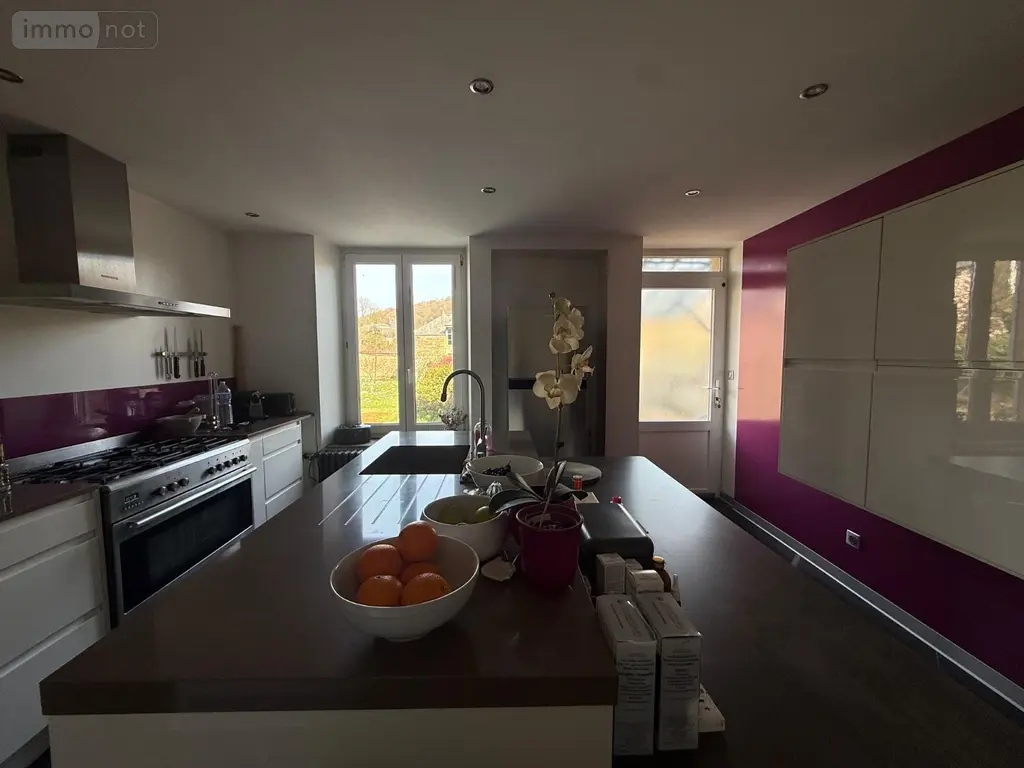 Maison a vendre Haraucourt 08450 Ardennes 08 230 m2 8 pièces 329000 euros 10305/1312 004