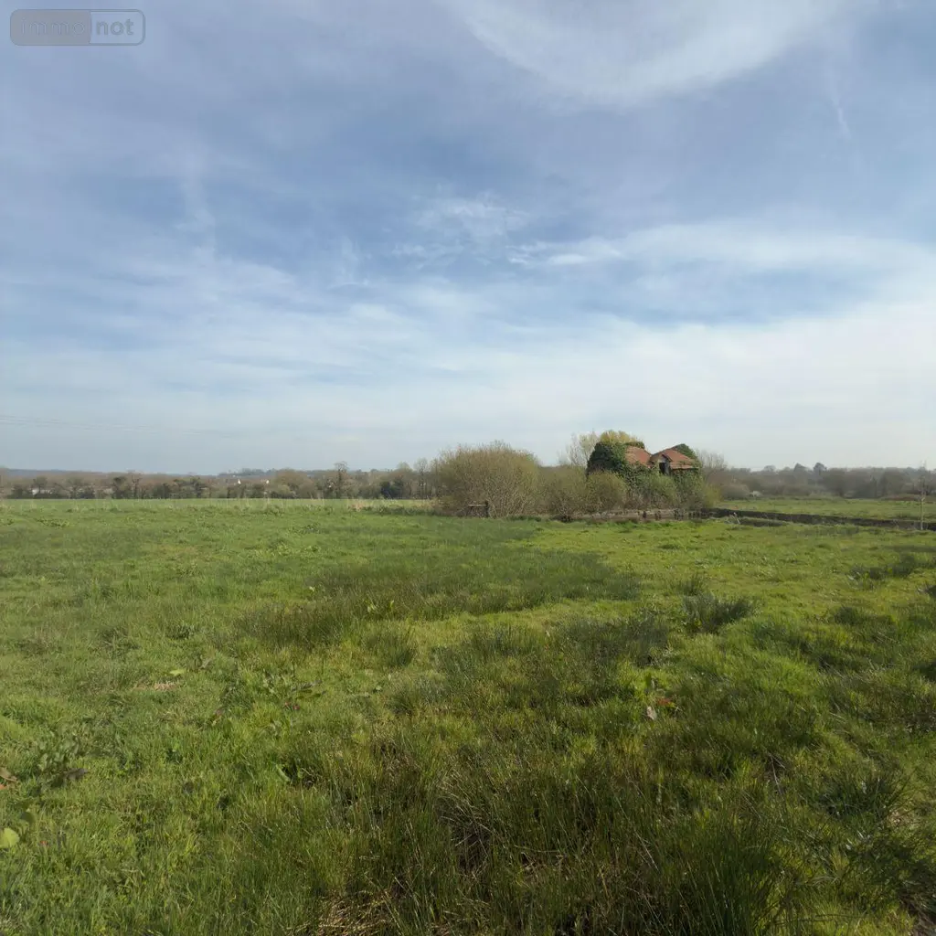 Maison a vendre La Haye 50250 Manche 50 144 m2 5 pièces 414000 euros 76062-20 011