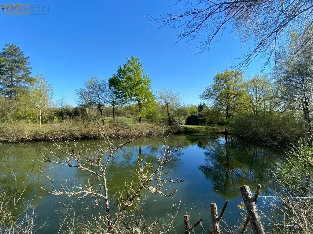 Terrains de loisirs bois etangs a vendre Saint-Genou 36500 Indre 36 22200 euros 1052374 008