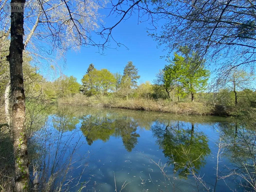 Terrains de loisirs bois etangs a vendre Saint-Genou 36500 Indre 36 22200 euros 1052374 007