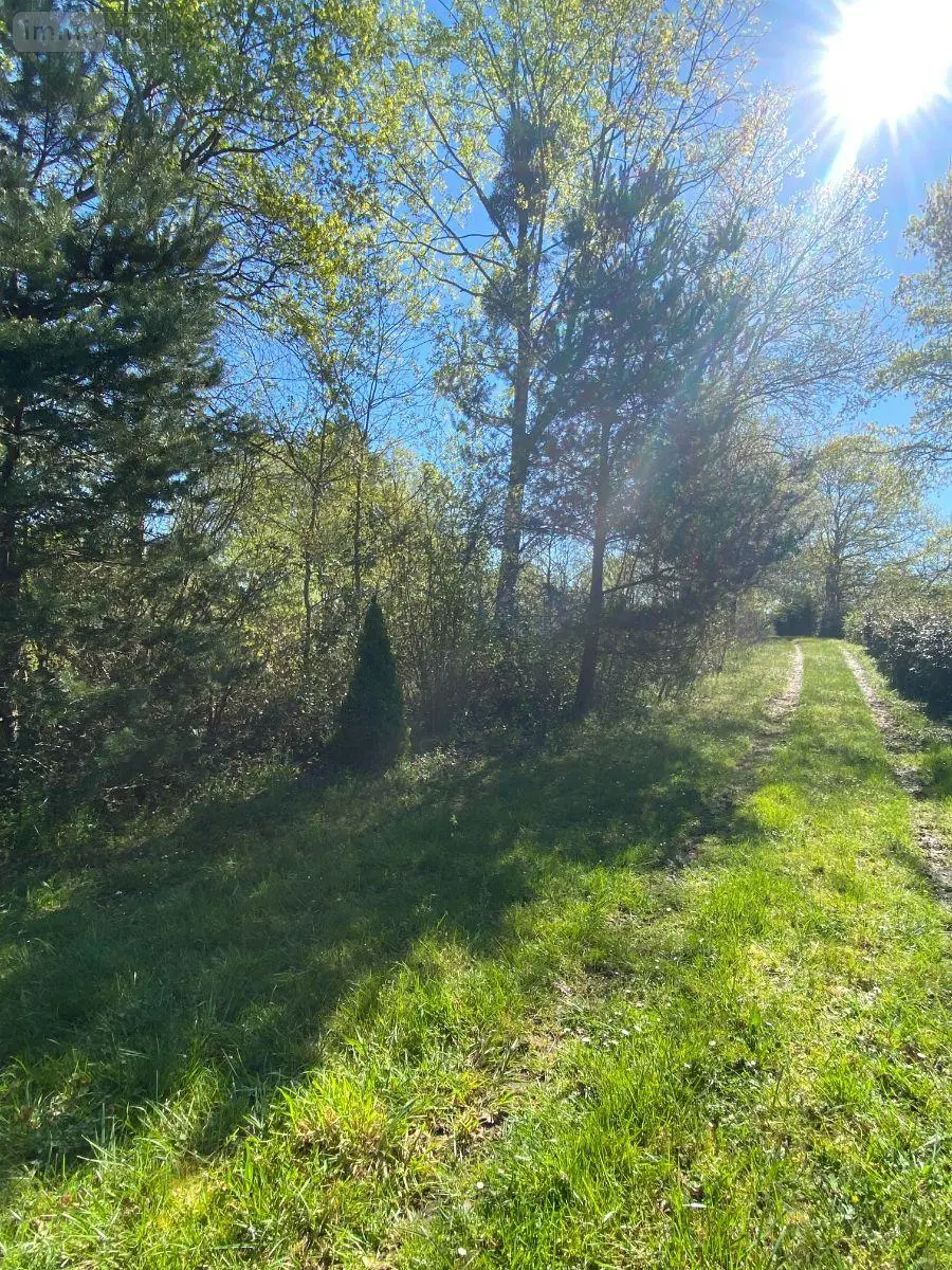 Terrains de loisirs bois etangs a vendre Saint-Genou 36500 Indre 36 22200 euros 1052374 004