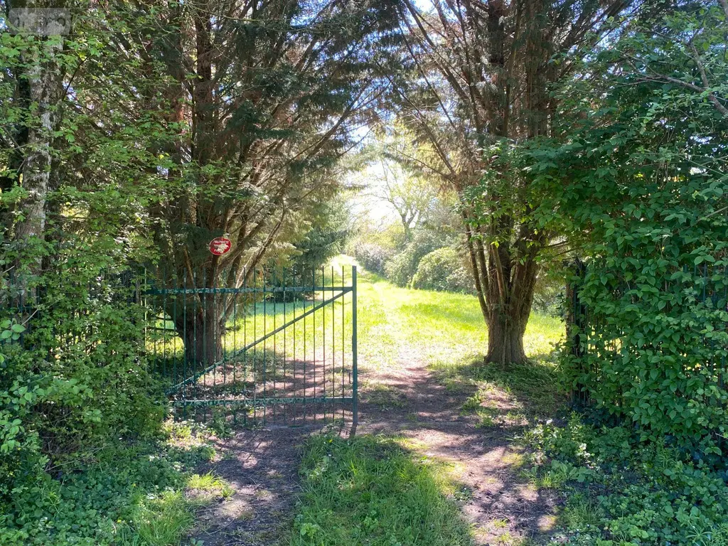 Terrains de loisirs bois etangs a vendre Saint-Genou 36500 Indre 36 22200 euros 1052374 003