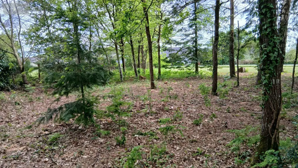 Terrain a batir a vendre Glénac 56200 Morbihan 56 750 m2 39900 euros 009/1353 003