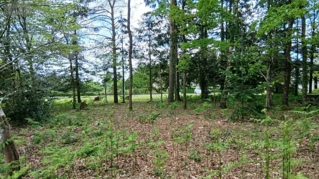 Terrain a batir a vendre Glénac 56200 Morbihan 56 750 m2 39900 euros 009/1353 004