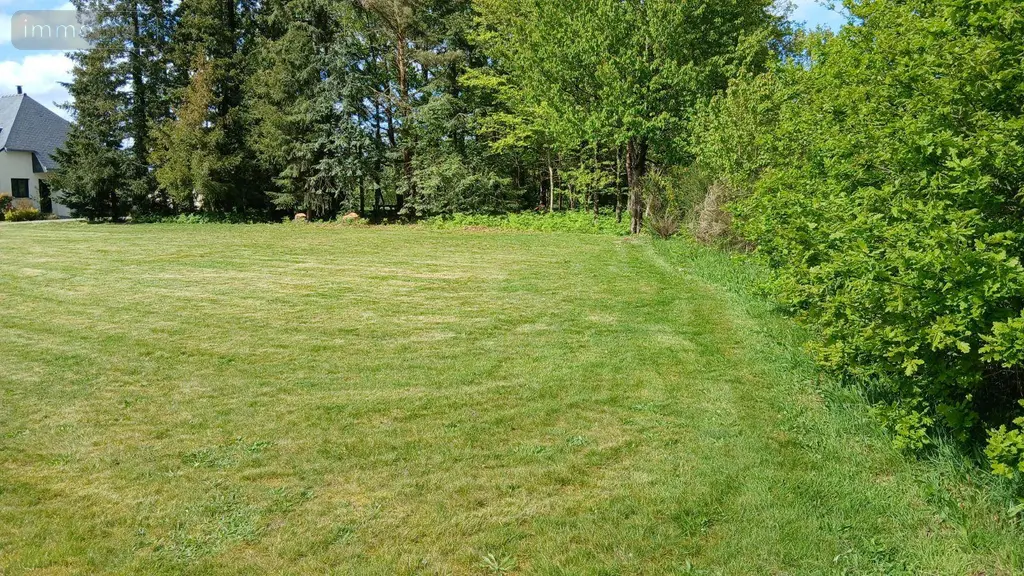 Terrain a batir a vendre Glénac 56200 Morbihan 56 750 m2 39900 euros 009/1353 008