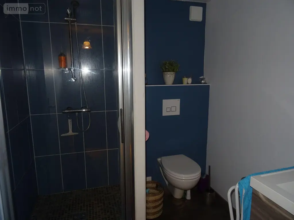 Maison a vendre Valdivienne 86300 Vienne 86 140 m2 6 pièces 250000 euros 2550 016