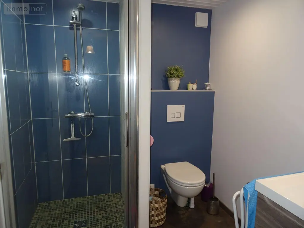 Maison a vendre Valdivienne 86300 Vienne 86 140 m2 6 pièces 250000 euros 2550 018