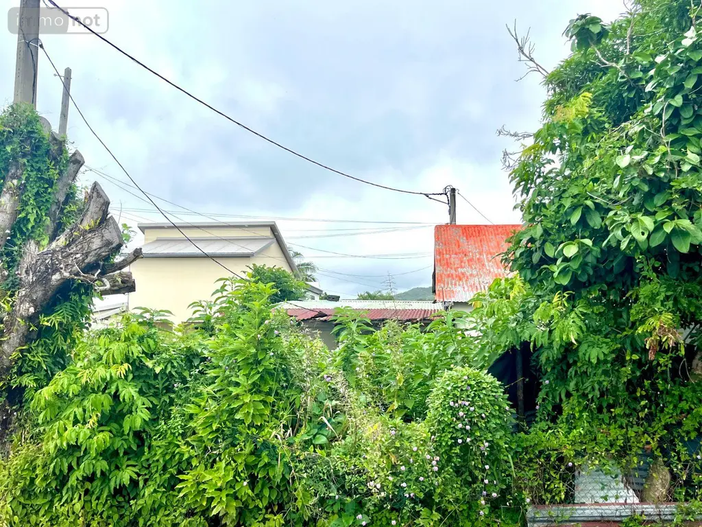 Terrain a batir a vendre Saint-Benoît 97470 La Réunion 974 99000 euros 97424/268 005