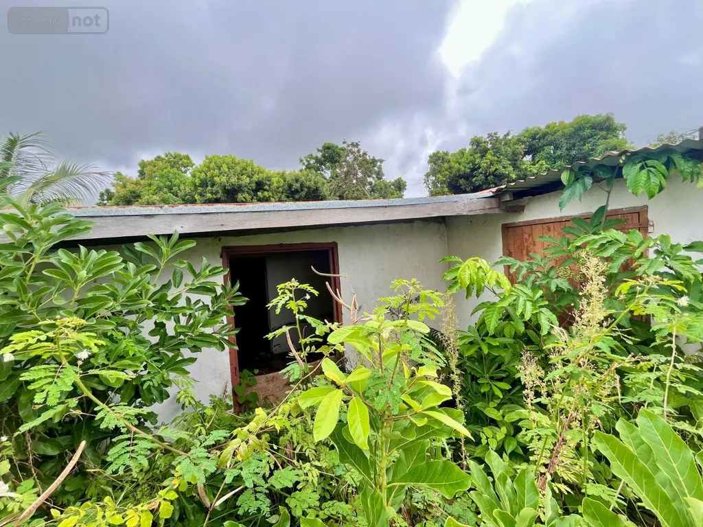 Terrain a batir a vendre Saint-Benoît 97470 La Réunion 974 99000 euros 97424/268 006