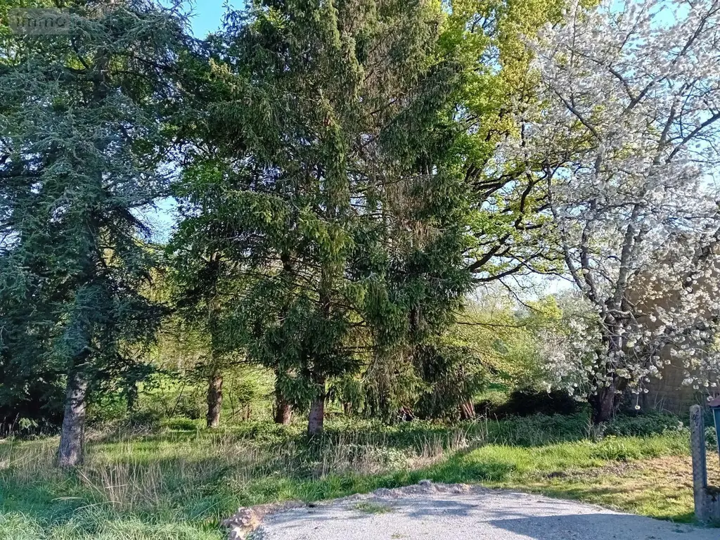 Terrain a batir a vendre Cournon 56200 Morbihan 56 688 m2 20000 euros 009/1355 001