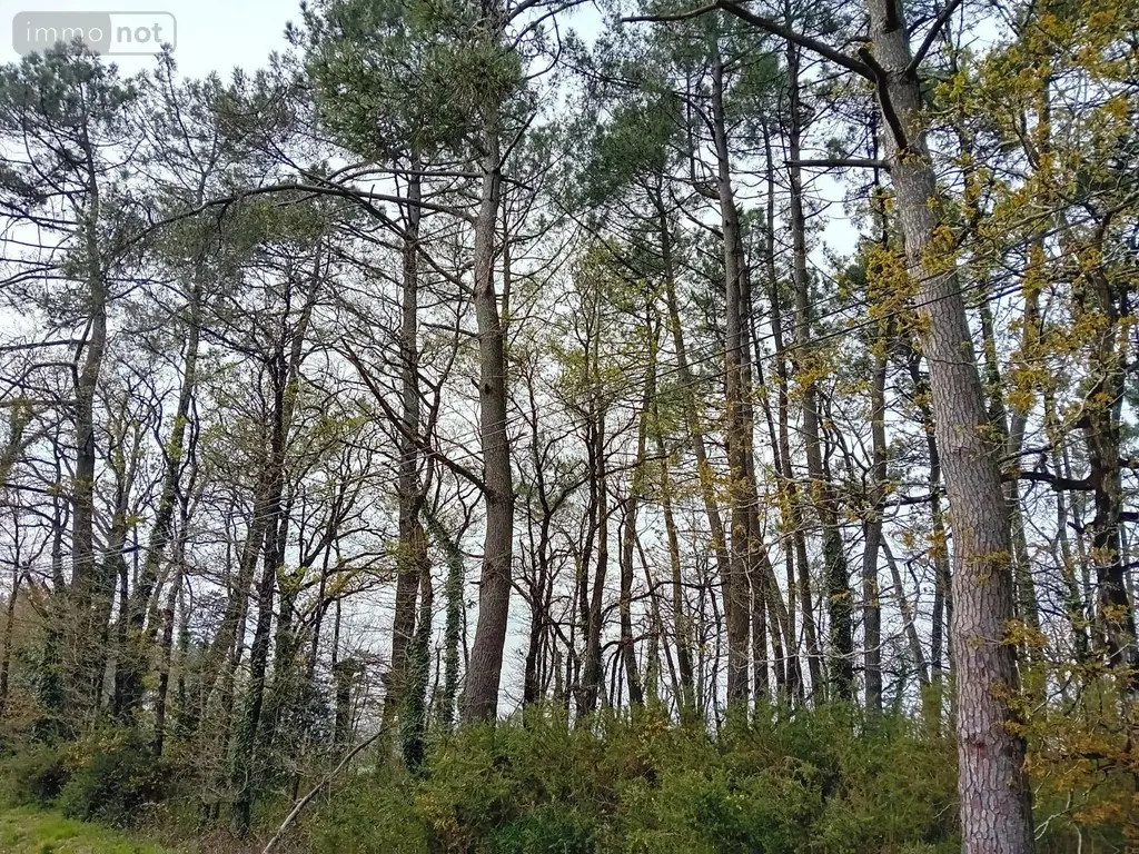 Terrains de loisirs bois etangs a vendre Cournon 56200 Morbihan 56 30000 euros 009/1356 003