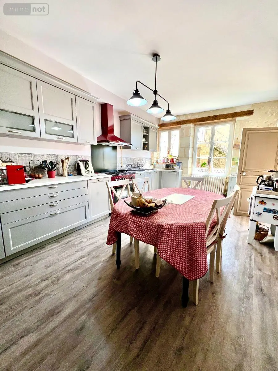 Maison a vendre Châtillon-sur-Indre 36700 Indre 36 130 m2 7 pièces 210000 euros 016/456 009