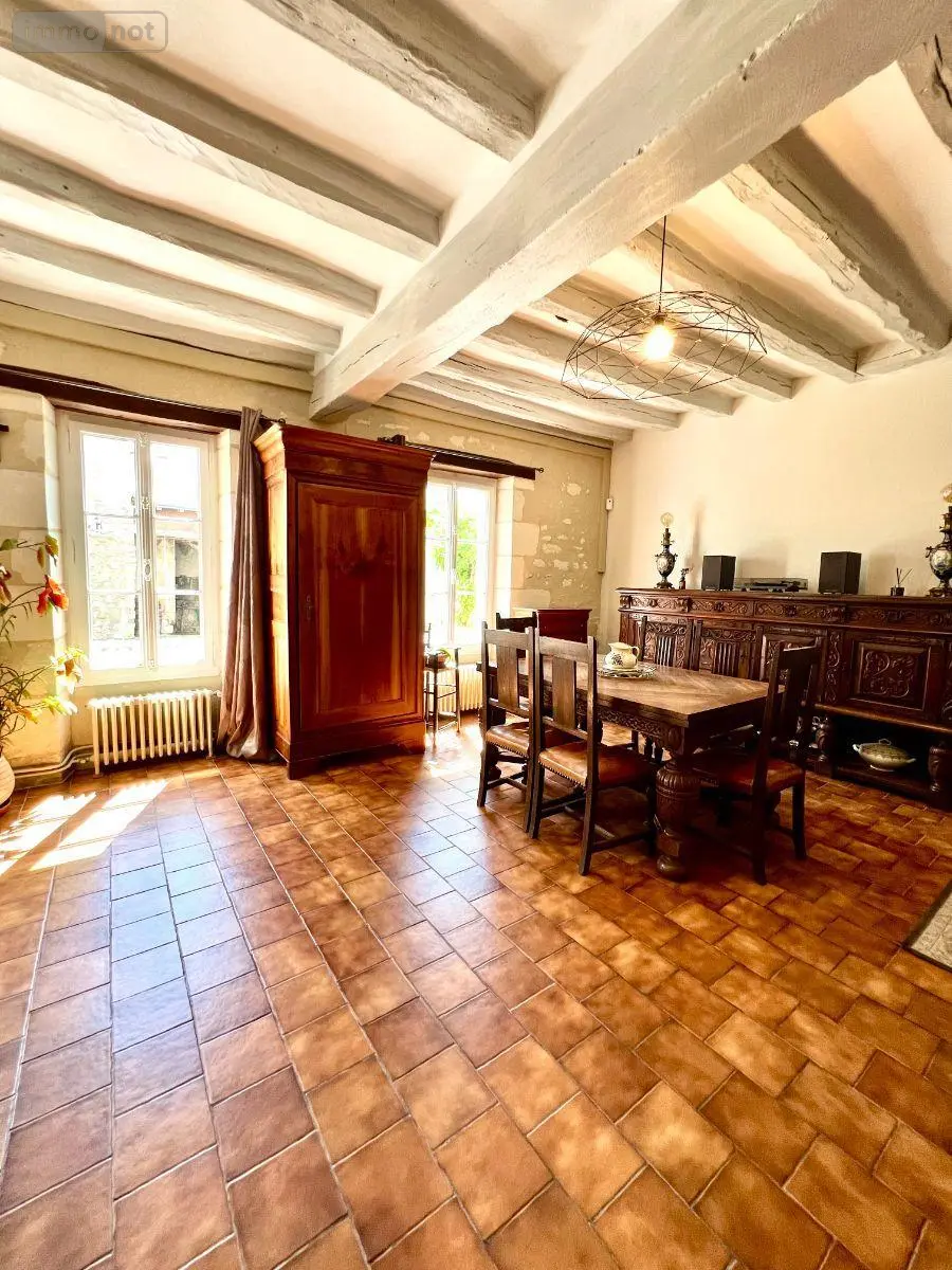 Maison a vendre Châtillon-sur-Indre 36700 Indre 36 130 m2 7 pièces 210000 euros 016/456 011