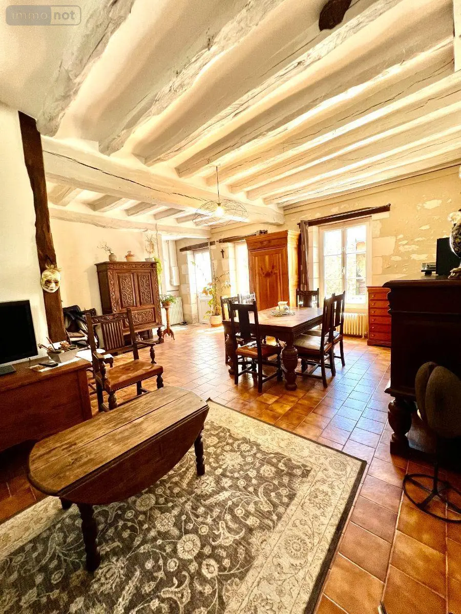Maison a vendre Châtillon-sur-Indre 36700 Indre 36 130 m2 7 pièces 210000 euros 016/456 012