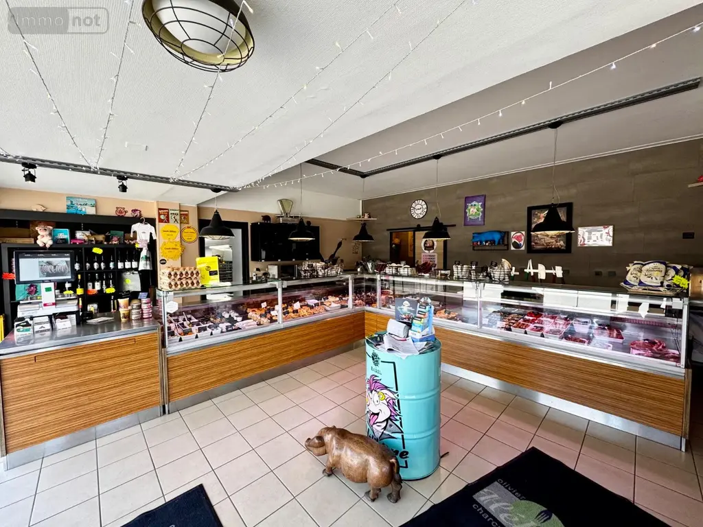 Fonds et murs commerciaux a vendre Bourg-Blanc 29860 Finistère 29 198400 euros 29042-81 004