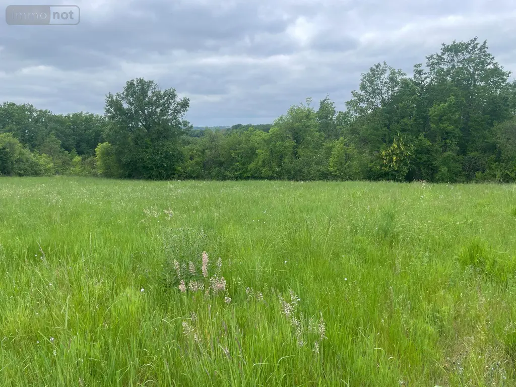 Terrain a batir a vendre Verteillac 24320 Dordogne 24 5939 m2 25000 euros 077/1724 008