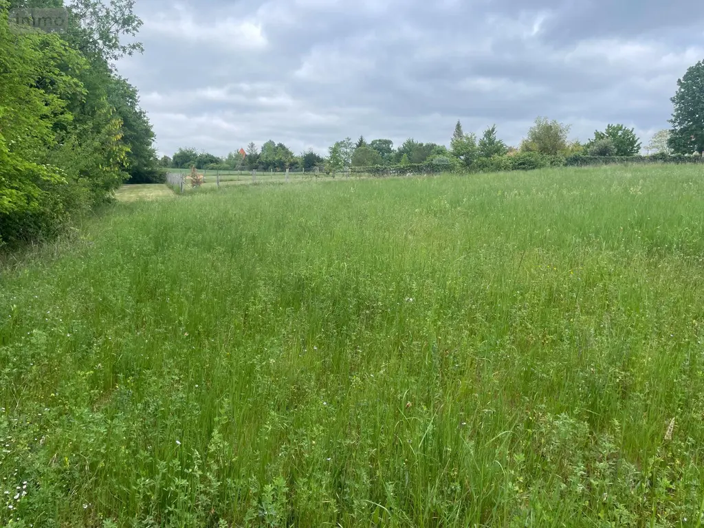 Terrain a batir a vendre Verteillac 24320 Dordogne 24 5939 m2 25000 euros 077/1724 009